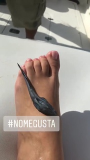 Katrina Johnson feet photo 6