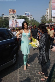 Katrina Kaif feet photo thumbnail