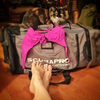 Katrina Law feet photo thumbnail
