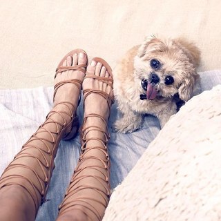 Katrina Szish feet photo 8