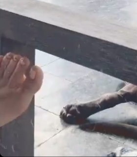 Katy Hearn feet photo 3