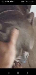 Katy Hearn feet photo 18