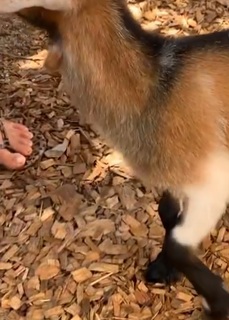 Katy Hearn feet photo 12