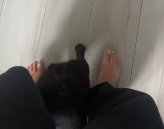 Katy Hearn feet photo 2