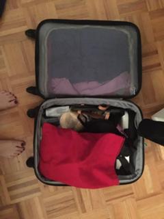 Katy Tur feet photo thumbnail