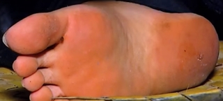 Kavya Madhavan feet photo thumbnail