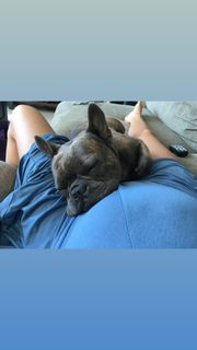 Kaya Scodelario feet photo thumbnail