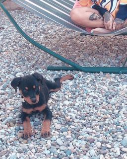 Kehlani Parrish feet photo thumbnail