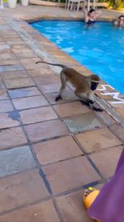 Kelis feet photo thumbnail