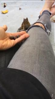 Kelley O'Hara feet photo 13