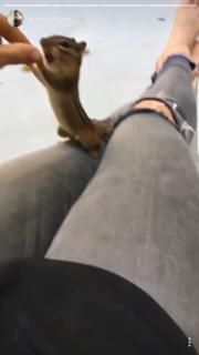 Kelley O'Hara feet photo 12