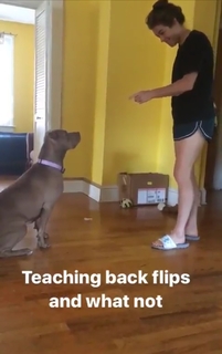 Kelley O'Hara feet photo 6