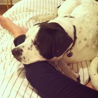 Kelli Barrett feet photo 16