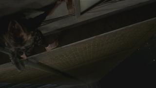 Kelly Adams feet photo 20