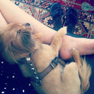 Kelly Frye feet photo 12