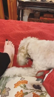 Kelly Frye feet photo 4