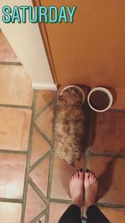 Kelly Frye feet photo 16