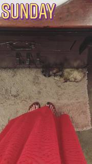 Kelly Frye feet photo 15