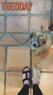 Kelly Frye feet photo 14