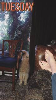 Kelly Frye feet photo 5