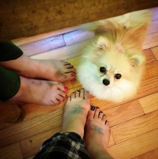 Kelly Osbourne feet photo thumbnail