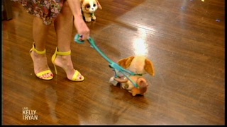 Kelly Ripa feet photo thumbnail