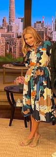 Kelly Ripa feet photo thumbnail