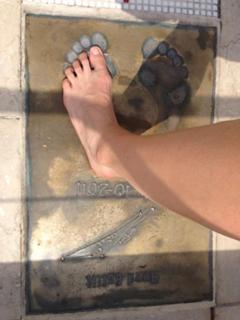 Kelly Sotherton feet photo 14