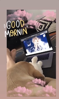 Kelly Svirakova feet photo thumbnail