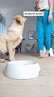 Kelly Svirakova feet photo thumbnail