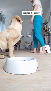 Kelly Svirakova feet photo thumbnail