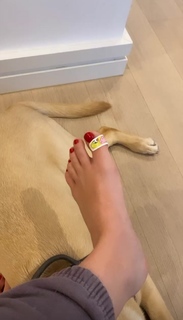 Kelly Svirakova feet photo thumbnail