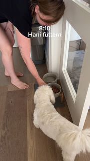 Kelly Svirakova feet photo 3