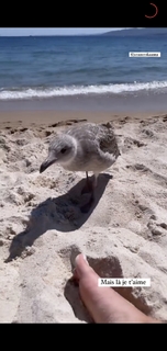 Kelly Vedovelli feet photo thumbnail