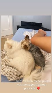 Kelly Vedovelli feet photo thumbnail