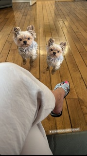 Kelly Vedovelli feet photo thumbnail