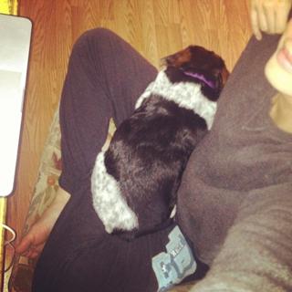 Keltie Knight feet photo 5