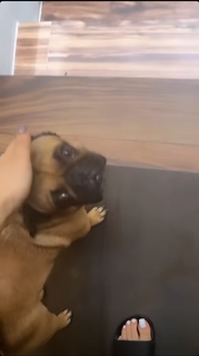 Kenia Os feet photo thumbnail