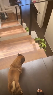 Kenia Os feet photo thumbnail