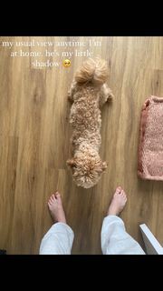 Kennedy McMann feet photo 16
