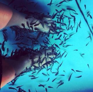 Kerli feet photo 10