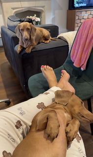 Kerry Katona feet photo 14