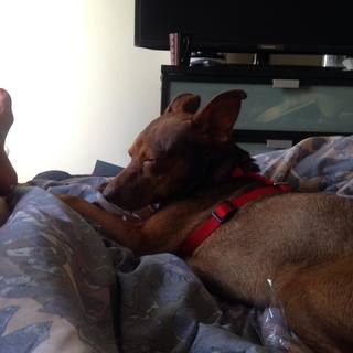 Kerryn Feehan feet photo thumbnail