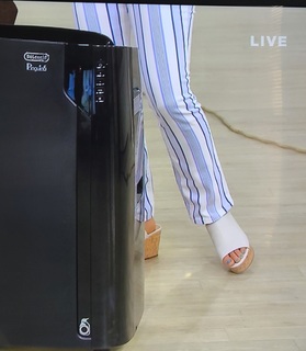 Kerstin Lindquist feet photo thumbnail