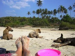 Kerstin Linnartz feet photo 10