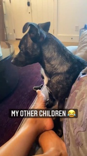 Keshia Knight Pulliam feet photo thumbnail