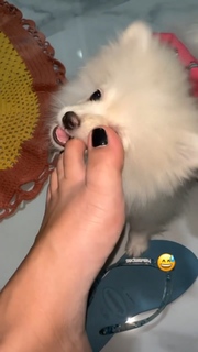 Keyla Alves feet photo thumbnail