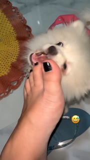 Keyla Alves feet photo thumbnail