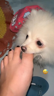 Keyla Alves feet photo thumbnail