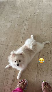 Keyla Alves feet photo thumbnail